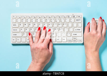 Schreibtisch mit Tastatur, saftig und Pen auf blauem Hintergrund. Stockfoto