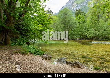 Farbenfrohe Frühling Panorama der Sava Bohinjka am Wocheiner See Dorf Ukanc. Malerische moning Szene im Triglav National Park, in den Julischen Alpen. Stockfoto