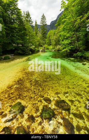 Farbenfrohe Frühling Panorama der Sava Bohinjka am Wocheiner See Dorf Ukanc. Malerische moning Szene im Triglav National Park, in den Julischen Alpen. Stockfoto