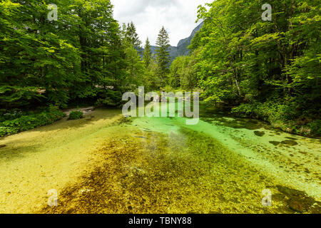 Farbenfrohe Frühling Panorama der Sava Bohinjka am Wocheiner See Dorf Ukanc. Malerische moning Szene im Triglav National Park, in den Julischen Alpen. Stockfoto