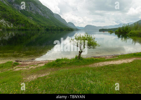 Farbenfrohe Frühling Panorama der Bohinj See in Ukanc. Malerische moning Szene im Triglav National Park, in den Julischen Alpen. Stockfoto