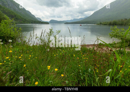 Farbenfrohe Frühling Panorama der Bohinj See in Ukanc. Malerische moning Szene im Triglav National Park, in den Julischen Alpen. Stockfoto