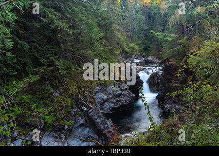 Eine Landschaft Aspekt von Qualicum Fluß rauscht durch die Schlucht im Little Qualicum Provincial Park, Vancouver Island, Kanada Erstellen von kleinen Wasserfällen, Stockfoto