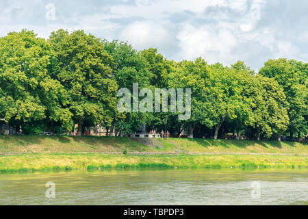 Linden Allee am Ufer des Flusses Uzh. schönen Sommer Landschaft. beliebtes Reiseziel der Ukraine. Stockfoto