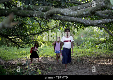 In der Provinz Pampanga, Philippinen. 3. Juni 2019. Kinder aus der indigenen Gruppe der "aeta zu Fuß während des ersten Tages von Klassen in temporären Klassenräumen von Diaz Grundschule in der Provinz Pampanga, Philippinen, Juni 3, 2019 in die Schule. Temporäre Klassenzimmer waren nach Klassenzimmer der Aeta Gemeinschaft durch das Erdbeben im letzten April zerstört wurden, wie Heute ist der erste Tag des neuen Schuljahres in den Philippinen. Credit: rouelle Umali/Xinhua/Alamy leben Nachrichten Stockfoto