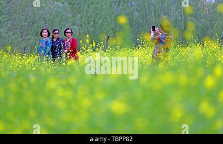 Shenyang, Provinz Liaoning, China. 3. Juni 2019. Menschen posieren für Fotos mit Cole Blumen an Changbaidao Forest Park in Shenyang, Provinz Liaoning im Nordosten Chinas, 3. Juni 2019. Credit: Yang Qing/Xinhua/Alamy leben Nachrichten Stockfoto