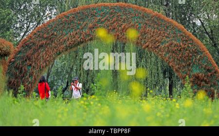 Shenyang, Provinz Liaoning, China. 3. Juni 2019. Menschen posieren für Fotos mit Cole Blumen an Changbaidao Forest Park in Shenyang, Provinz Liaoning im Nordosten Chinas, 3. Juni 2019. Credit: Yang Qing/Xinhua/Alamy leben Nachrichten Stockfoto