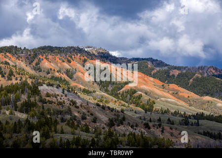 Die Red Hills in der Gros Ventre Gegend in der Nähe von Kelly, Wyoming. Stockfoto