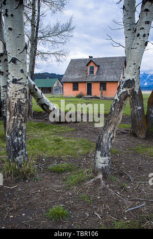 Die weniger fotografiert alten Haus am Mormon Zeile im Grand Teton National Park in Wyoming. Stockfoto