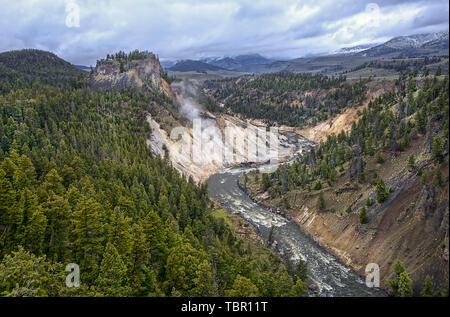 Der Aussichtspunkt von Calcit Federn über den Yellowstone River. Stockfoto