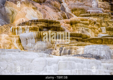 Abstraktes Bild der Kalzium- und Mineralvorkommen in Mammoth hostsprings im Yellowstone National Park. Stockfoto