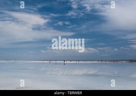 Tee qinghai See Stockfoto