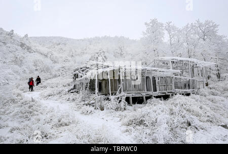 Huangsang National Nature Reserve, Suining County in der Provinz Hunan, hat schöne Landschaft und schöne Umgebung und der Geschmack von Miao Dong in Huangsang Miaozhuang, Huangsang Miaozhuang, ist einzigartig. Die Landschaft der Kuh hang Kopf auf einer Höhe von mehr als tausend Meter über dem Meeresspiegel ist unendlich schön. Stockfoto