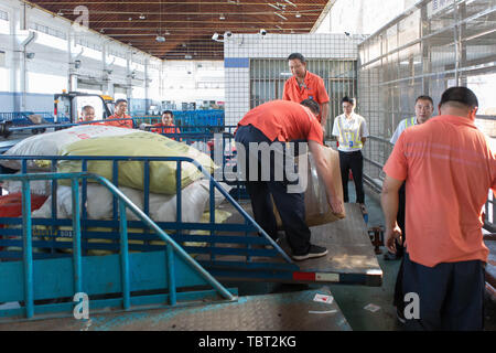 Southern Airlines, Ground Crew Transport von Gepäck. Stockfoto