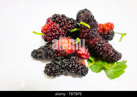 Maulbeere auf weißem Hintergrund Stockfoto