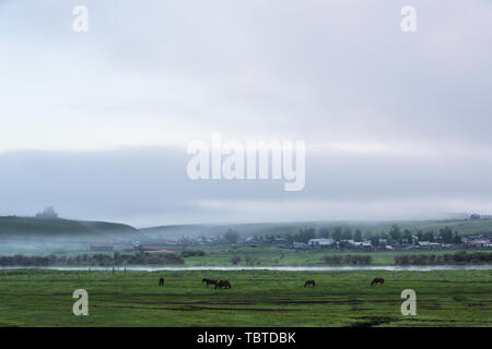 Die pastorale Landschaft der chinesisch-russischen Grenze Stockfoto