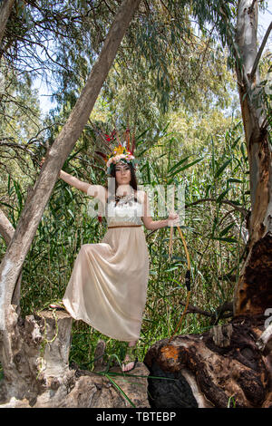 Ein Mädchen im Kleid Pocahontas mit Pfeil und Bogen auf der Eukalyptusbaum Stockfoto