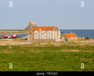 Lindisfarne Castle in der Nordsee Küste, die heilige Insel, Northumberland, England, Großbritannien Stockfoto