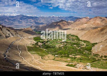 Schöne landcape auf das grüne Tal in Leh, Ladakh Bezirk im Sommer Stockfoto