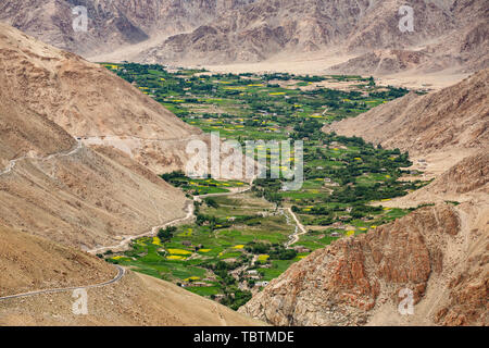 Schöne landcape auf das grüne Tal in Leh, Ladakh Bezirk im Sommer Stockfoto