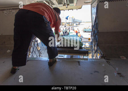 Southern Airlines, Ground Crew Transport von Gepäck. Stockfoto