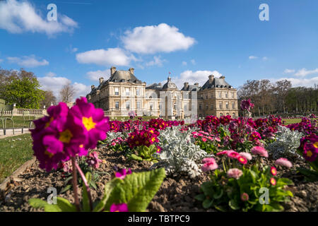 Bunte Frühlingsblumen vor dem Palais du Luxembourg Jardin du Luxembourg, Paris, Frankreich | bunte Frühlingsblumen zu Luxemburg Palace, Luxembo Stockfoto