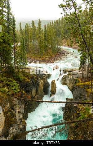 Die sunwapta fällt bei Icefields Parkway in den Jasper National Park an einem regnerischen Herbsttag Stockfoto