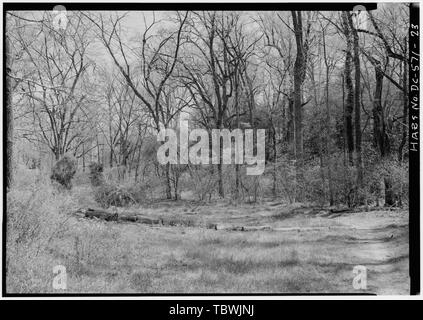 Wiese, Blick nach Osten mit STREAM ARBOR AUF DER RECHTEN 1988 Dumbarton Oaks Park, Thirtysecond und R Straßen Northwest, Washington, District of Columbia, DC Stockfoto