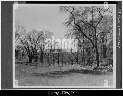 Wiese, Blick nach Osten mit STREAM ARBOR AUF DER RECHTEN Fotokopie der Fotographie, 1930er Jahre National Park Service, National Capital Region dateien Dumbarton Oaks Park, Thirtysecond und R Straßen Northwest, Washington, District of Columbia, DC Stockfoto