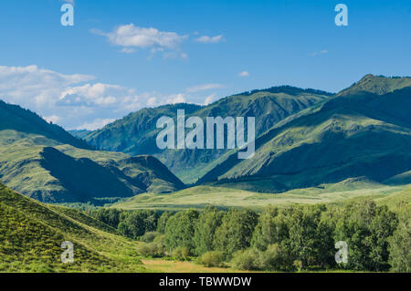 Natürliche Landschaft von Kanas Prairie im Altai, Xinjiang Stockfoto