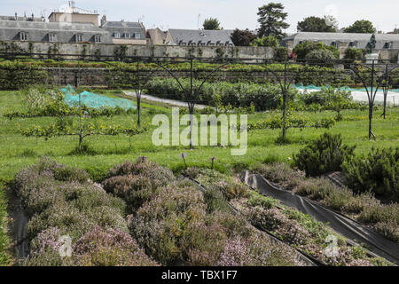 KÜCHENGARTEN DES KÖNIGS, VERSAILLES FRANKREICH Stockfoto