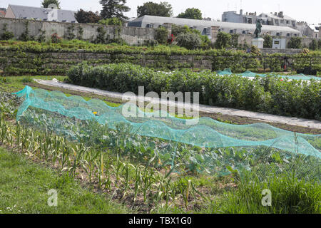 KÜCHENGARTEN DES KÖNIGS, VERSAILLES FRANKREICH Stockfoto