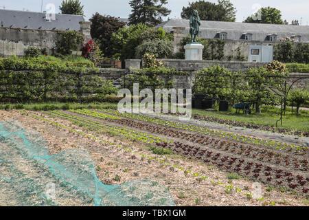 KÜCHENGARTEN DES KÖNIGS, VERSAILLES FRANKREICH Stockfoto