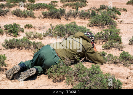 Zurück Fotograf liegt im freien Blick auf den Boden unter Bild von Lizard in der Steppe Stockfoto