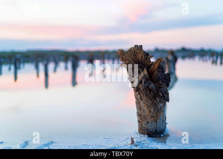 Wunderschöne Aussicht auf Salt Lake Baskunchak in Astrachan Gebiet, Russland Stockfoto