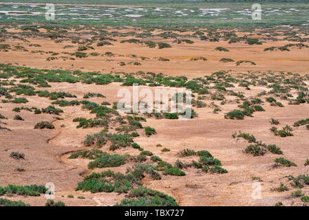 Landschaft mit trockenen geknackt takir Boden in Halbwüste in Russland Stockfoto