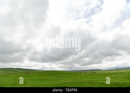 Ein schwaches Gedächtnis des Plateaus. Stockfoto