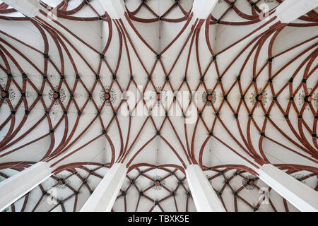 Decke von St. Thomas Kirche, Thomaskirche, Leipzig, Deutschland Stockfoto