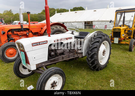 David Brown 770 Selectamatic weiß Traktor auf Anzeige an der Devon County zeigen Stockfoto