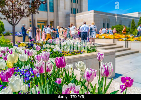 Strahlende Blumen blühen im Garten außerhalb eines Gebäudes an einem sonnigen Tag Stockfoto