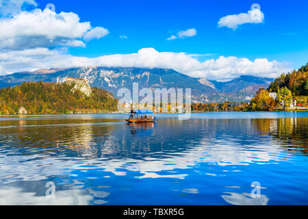 Der See von Bled in Slowenien Panorama mit Burg, Boot und Bäume im Herbst in den Julischen Alpen Berge Stockfoto