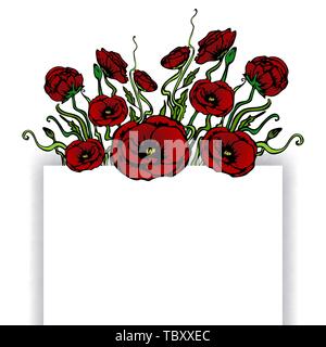 Seite Vorlage für Web und Print weißen Hintergrund mit roten Blüten. Kreative vektor design, elegant mit Mohn Blumen Konzept Stock Vektor