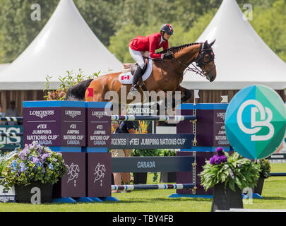 In Langley, British Columbia, KÖNNEN. 2. Juni 2019. TIffANY fördern (können) Fahrten FIGOR in der longines FEI Jumping Nationen CupÂª von Kanada für Thunderbird Show Park am 2. Juni 2019 in Langley BC Kanada. Credit: Cara Grimshaw/ZUMA Draht/Alamy leben Nachrichten Stockfoto