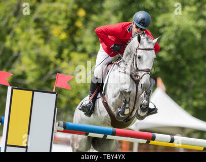 In Langley, British Columbia, KÖNNEN. 2. Juni 2019. FRANCISCO PASQUEL (MEX) Fahrten CORONADO in der longines FEI Jumping Nationen CupÂª von Kanada für Thunderbird Show Park am 2. Juni 2019 in Langley BC Kanada. Credit: Cara Grimshaw/ZUMA Draht/Alamy leben Nachrichten Stockfoto