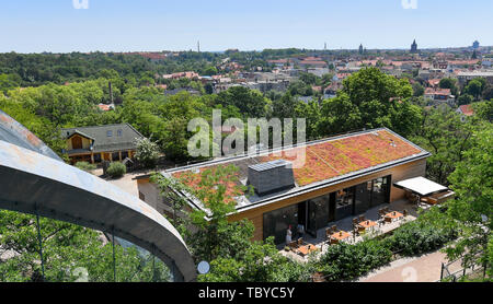 Halle, Deutschland. 04 Juni, 2019. Blick vom Aussichtsturm im Bergzoo Halle/Saale. Der Zoo ist ein Magnet für die Besucher. Die Halle Zoo beherbergt 1700 Tiere aus 250 Arten. Im Jahr 2018 472.000 Besucher wurden gezählt. Foto: Hendrik Schmidt/dpa-Zentralbild/ZB Quelle: dpa Picture alliance/Alamy leben Nachrichten Stockfoto