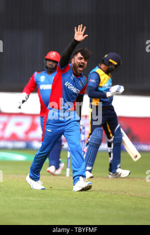 Cardiff, Wales, UK. 04 Juni, 2019. 04.06.2019, Sophia Gardens, Cardiff, Wales, ICC Cricket World Cup, Afghanistan und Sri Lanka; Rashid Khan Appelle Credit: Aktion Plus Sport Bilder/Alamy leben Nachrichten Stockfoto