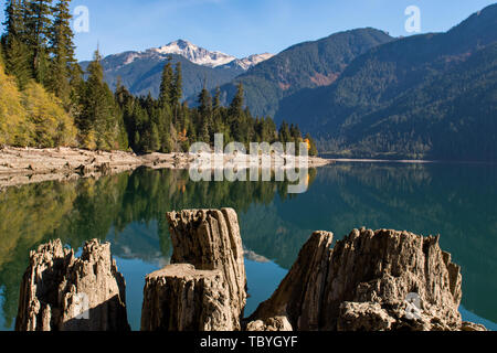 Trockene Protokolle und Baumstümpfen auf dem Trockenen Ufer des Baker See in North Cascades Stockfoto