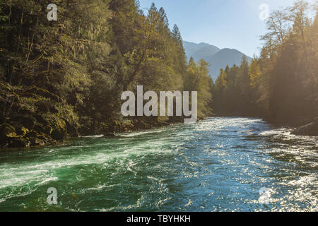 Das türkisfarbene Wasser der Skagit River absteigend mit Kraft Stockfoto