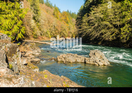 Das türkisfarbene Wasser der Skagit River absteigend mit Kraft Stockfoto