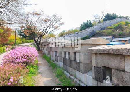 Landschaft der Stadt Seoul in Korea (Waryong Park) Stockfoto